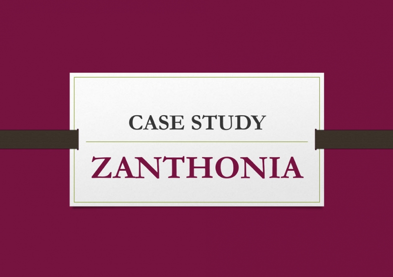 Zanthonia